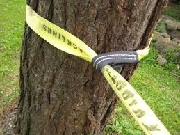 Mua Dây đi bộ trên dây thừng bằng polyester cân bằng tùy chỉnh cho các môn thể thao ngoài trời online manufacture