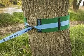 Mua Bảo vệ cây an toàn Slackline Rope Mang sức đề kháng online manufacture