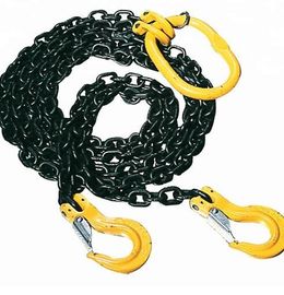 Mua Tùy chỉnh nâng chuỗi treo, G80 Hai chân Chain Sling để nâng và gian lận online manufacture