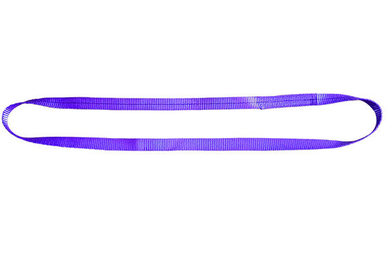 Mua Đẹp 100% polyester WLL 1000kg không kết thúc Webbing Sling online manufacture