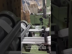 Phòng làm việc Polyester Lifting Sling